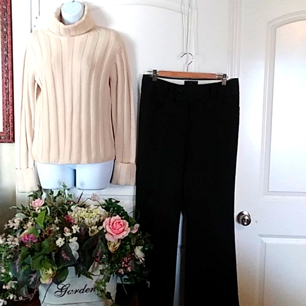 2 for 1 Banana Republic pants and top (155)